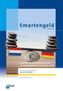 plaatje van de smartengeldgids bij artikel over smartengeld