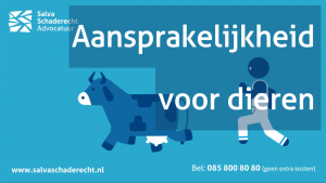 Afbeelding met link naar video over de aansprakelijkheid van de bezitter van een dier