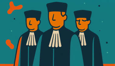 Afbeelding van rechters bij blog over aansprakelijkheid overheid